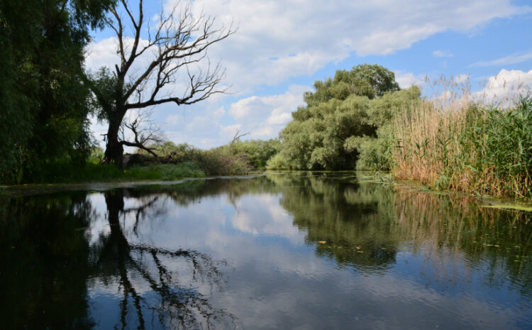  Program Excursii in Delta Dunarii – 4 zile (3 nopti)