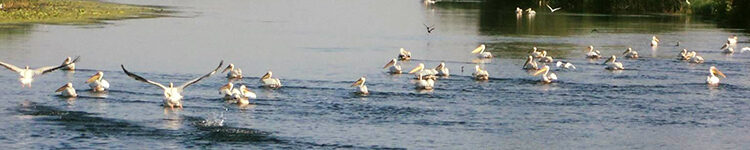  EXCURSII ALL INCLUSIVE